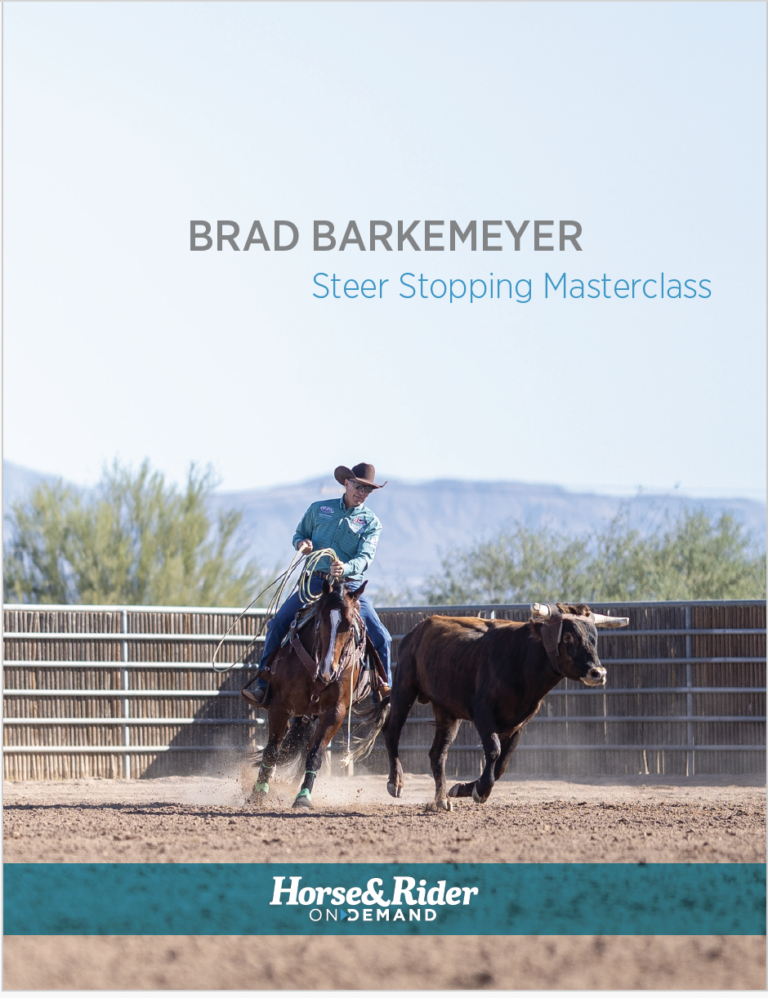 Screenshot 2025-01-02 at 3.08